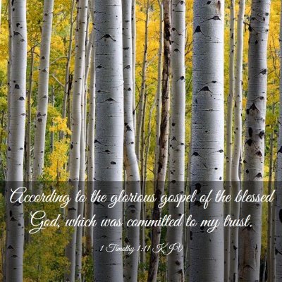 Picture 03 - 1 Timothy 1:11 KJV - According to the glorious gospel of the blessed - Bible Verse Picture
