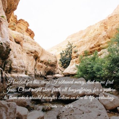 Picture 03 - 1 Timothy 1:16 KJV - Howbeit for this cause I obtained mercy, that in - Bible Verse Picture