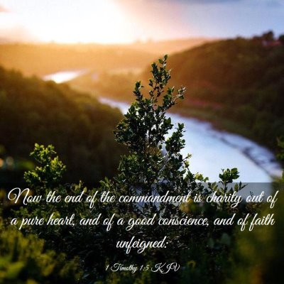 Picture 03 - 1 Timothy 1:5 KJV - Now the end of the commandment is charity out of - Bible Verse Picture