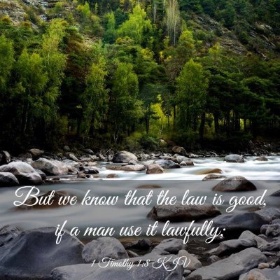 Picture 03 - 1 Timothy 1:8 KJV - But we know that the law is good, if a man use it - Bible Verse Picture