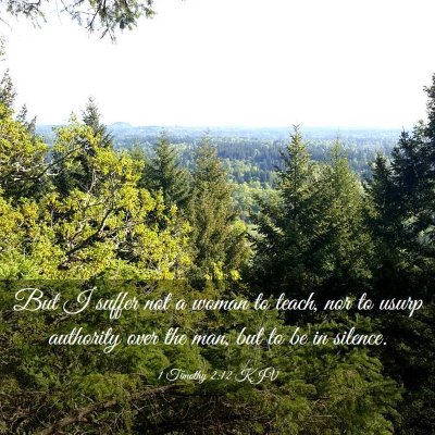 Picture 03 - 1 Timothy 2:12 KJV - But I suffer not a woman to teach, nor to usurp - Bible Verse Picture