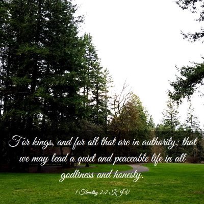 Picture 03 - 1 Timothy 2:2 KJV - For kings, and for all that are in authority; - Bible Verse Picture