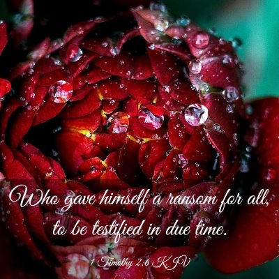Picture 03 - 1 Timothy 2:6 KJV - Who gave himself a ransom for all, to be - Bible Verse Picture