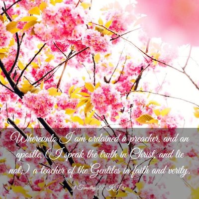 Picture 03 - 1 Timothy 2:7 KJV - Whereunto I am ordained a preacher, and an - Bible Verse Picture