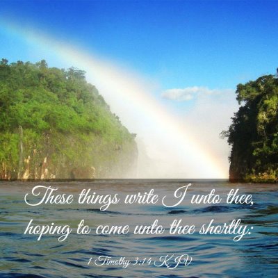 Picture 03 - 1 Timothy 3:14 KJV - These things write I unto thee, hoping to come - Bible Verse Picture
