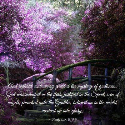Picture 03 - 1 Timothy 3:16 KJV - And without controversy great is the mystery of - Bible Verse Picture