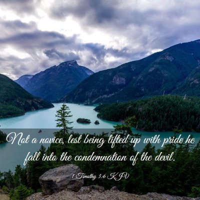 Picture 03 - 1 Timothy 3:6 KJV - Not a novice, lest being lifted up with pride he - Bible Verse Picture
