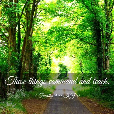 Picture 03 - 1 Timothy 4:11 KJV - These things command and - Bible Verse Picture