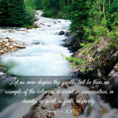 Picture 03 - 1 Timothy 4:12 KJV - Let no man despise thy youth; but be thou an - Bible Verse Picture