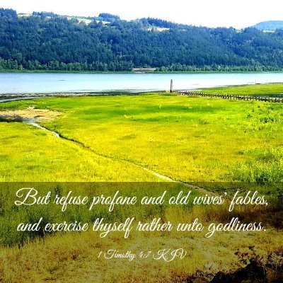 Picture 03 - 1 Timothy 4:7 KJV - But refuse profane and old wives' fables, and - Bible Verse Picture