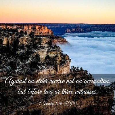 Picture 03 - 1 Timothy 5:19 KJV - Against an elder receive not an accusation, but - Bible Verse Picture