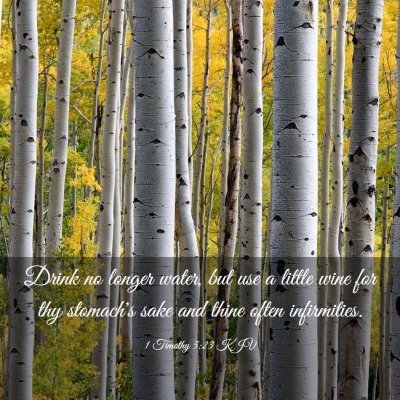 Picture 03 - 1 Timothy 5:23 KJV - Drink no longer water, but use a little wine for - Bible Verse Picture