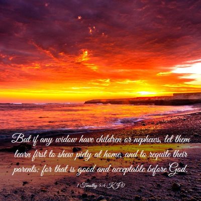 Picture 03 - 1 Timothy 5:4 KJV - But if any widow have children or nephews, let - Bible Verse Picture
