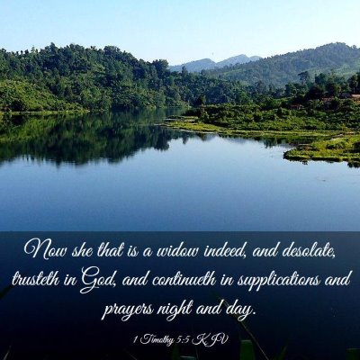 Picture 03 - 1 Timothy 5:5 KJV - Now she that is a widow indeed, and desolate, - Bible Verse Picture
