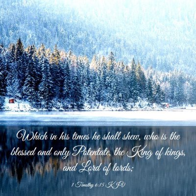 Picture 03 - 1 Timothy 6:15 KJV - Which in his times he shall shew, who is the - Bible Verse Picture