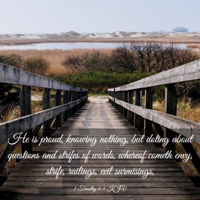 Picture 03 - 1 Timothy 6:4 KJV - He is proud, knowing nothing, but doting about - Bible Verse Picture
