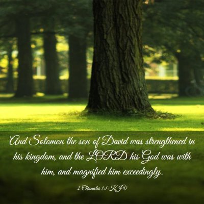 Picture 03 - 2 Chronicles 1:1 KJV - And Solomon the son of David was strengthened in - Bible Verse Picture