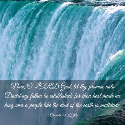Picture 03 - 2 Chronicles 1:9 KJV - Now, O LORD God, let thy promise unto David my - Bible Verse Picture