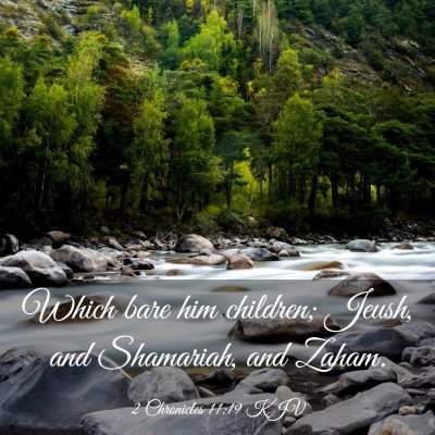 Picture 03 - 2 Chronicles 11:19 KJV - Which bare him children; Jeush, and Shamariah, - Bible Verse Picture