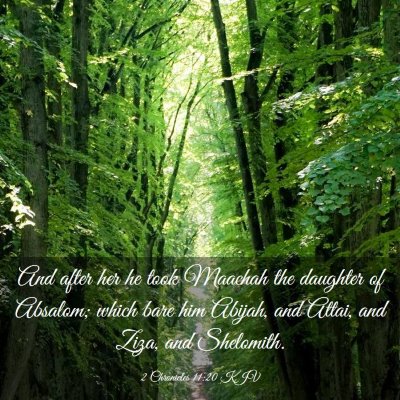 Picture 03 - 2 Chronicles 11:20 KJV - And after her he took Maachah the daughter of - Bible Verse Picture