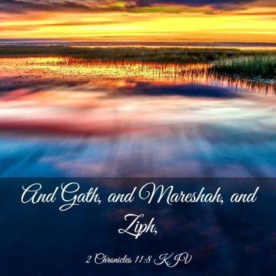 Picture 03 - 2 Chronicles 11:8 KJV - And Gath, and Mareshah, and - Bible Verse Picture