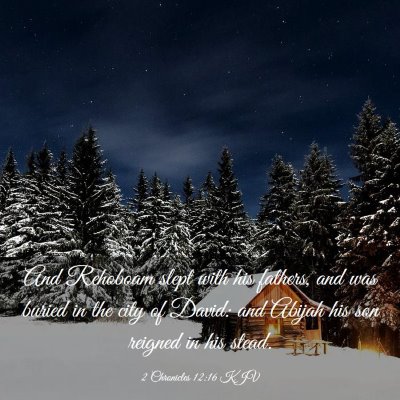 Picture 03 - 2 Chronicles 12:16 KJV - And Rehoboam slept with his fathers, and was - Bible Verse Picture