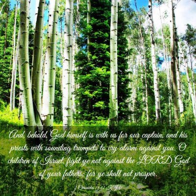 Picture 03 - 2 Chronicles 13:12 KJV - And, behold, God himself is with us for our - Bible Verse Picture