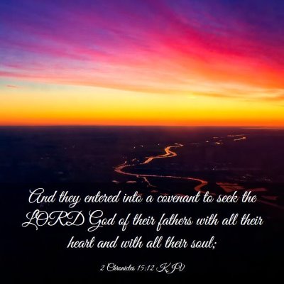 Picture 03 - 2 Chronicles 15:12 KJV - And they entered into a covenant to seek the LORD - Bible Verse Picture