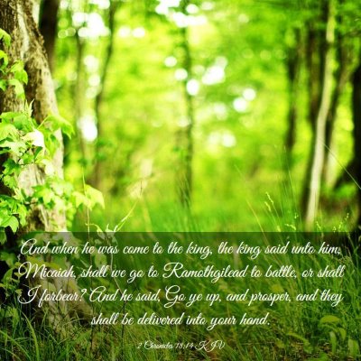Picture 03 - 2 Chronicles 18:14 KJV - And when he was come to the king, the king said - Bible Verse Picture