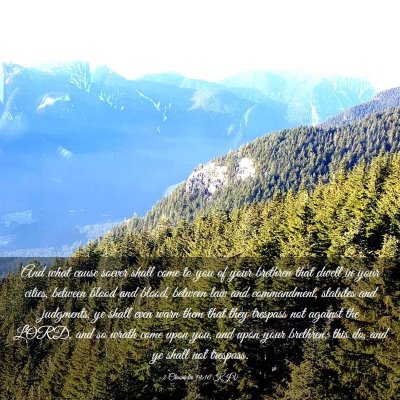 Picture 03 - 2 Chronicles 19:10 KJV - And what cause soever shall come to you of your - Bible Verse Picture
