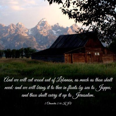 Picture 03 - 2 Chronicles 2:16 KJV - And we will cut wood out of Lebanon, as much as - Bible Verse Picture
