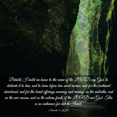Picture 03 - 2 Chronicles 2:4 KJV - Behold, I build an house to the name of the LORD - Bible Verse Picture