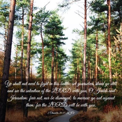 Picture 03 - 2 Chronicles 20:17 KJV - Ye shall not need to fight in this battle: set - Bible Verse Picture