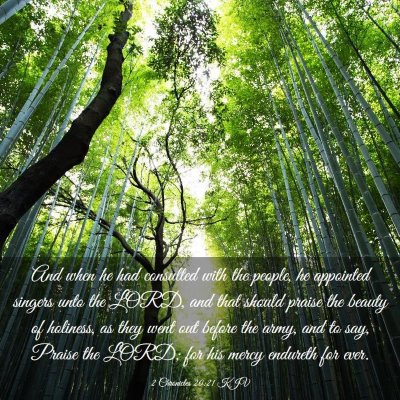 Picture 03 - 2 Chronicles 20:21 KJV - And when he had consulted with the people, he - Bible Verse Picture