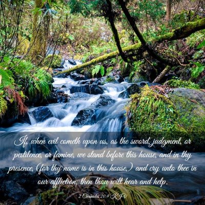 Picture 03 - 2 Chronicles 20:9 KJV - If, when evil cometh upon us, as the sword, - Bible Verse Picture