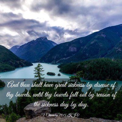 Picture 03 - 2 Chronicles 21:15 KJV - And thou shalt have great sickness by disease of - Bible Verse Picture