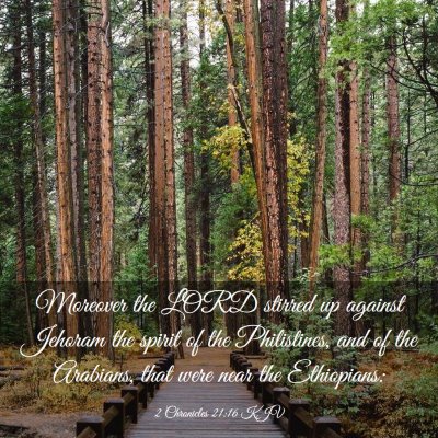 Picture 03 - 2 Chronicles 21:16 KJV - Moreover the LORD stirred up against Jehoram the - Bible Verse Picture