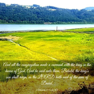 Picture 03 - 2 Chronicles 23:3 KJV - And all the congregation made a covenant with the - Bible Verse Picture