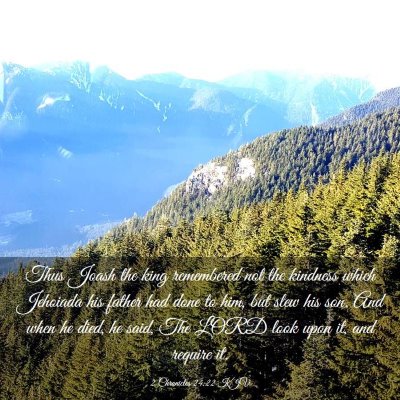 Picture 03 - 2 Chronicles 24:22 KJV - Thus Joash the king remembered not the kindness - Bible Verse Picture