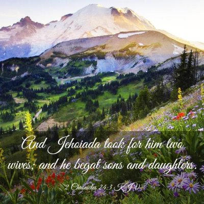 Picture 03 - 2 Chronicles 24:3 KJV - And Jehoiada took for him two wives; and he begat - Bible Verse Picture