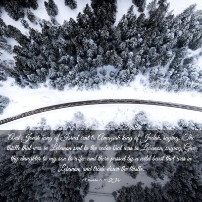 Picture 03 - 2 Chronicles 25:18 KJV - And Joash king of Israel sent to Amaziah king of - Bible Verse Picture