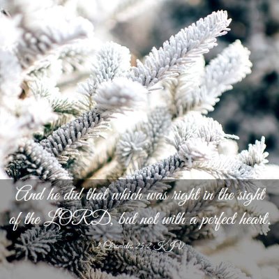Picture 03 - 2 Chronicles 25:2 KJV - And he did that which was right in the sight of - Bible Verse Picture