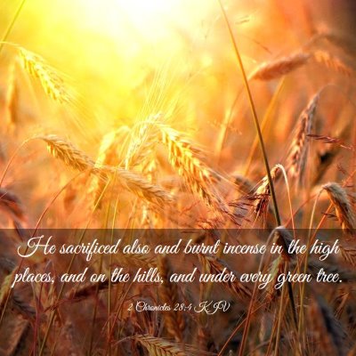 Picture 03 - 2 Chronicles 28:4 KJV - He sacrificed also and burnt incense in the high - Bible Verse Picture