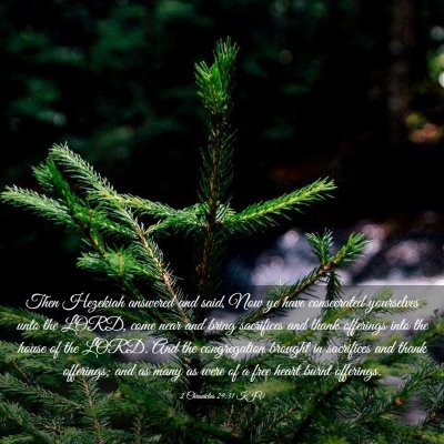 Picture 03 - 2 Chronicles 29:31 KJV - Then Hezekiah answered and said, Now ye have - Bible Verse Picture