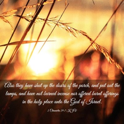 Picture 03 - 2 Chronicles 29:7 KJV - Also they have shut up the doors of the porch, - Bible Verse Picture
