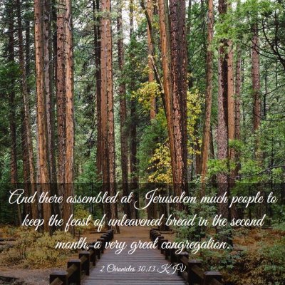 Picture 03 - 2 Chronicles 30:13 KJV - And there assembled at Jerusalem much people to - Bible Verse Picture
