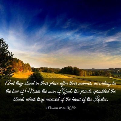 Picture 03 - 2 Chronicles 30:16 KJV - And they stood in their place after their manner, - Bible Verse Picture