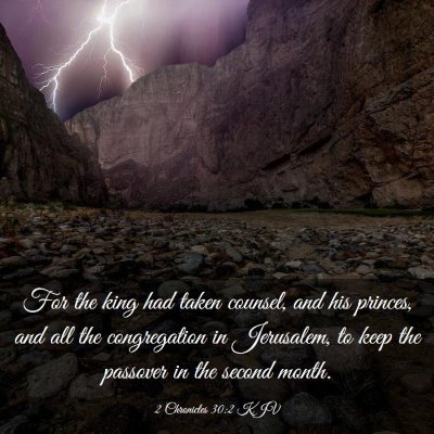 Picture 03 - 2 Chronicles 30:2 KJV - For the king had taken counsel, and his princes, - Bible Verse Picture