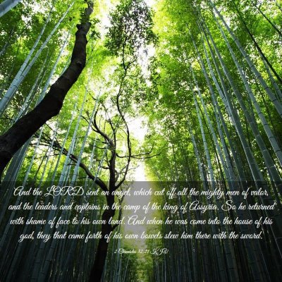 Picture 03 - 2 Chronicles 32:21 KJV - And the LORD sent an angel, which cut off all the - Bible Verse Picture