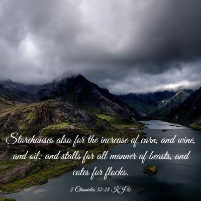 Picture 03 - 2 Chronicles 32:28 KJV - Storehouses also for the increase of corn, and - Bible Verse Picture